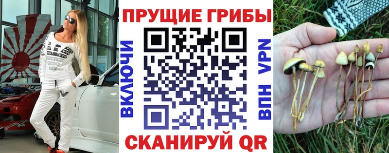 Псилоцибиновые грибы MAGIC MUSHROOMS  Бирск 