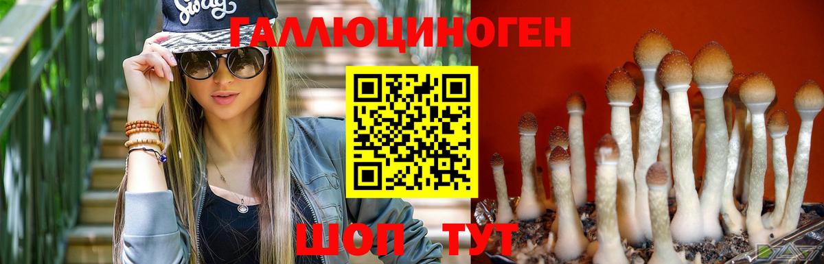 Бирск  Галлюциногенные грибы Cubensis  Вход с VPN 